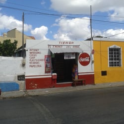 El tronco del árbol