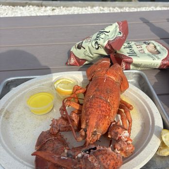 Copps Island Oyster Shack - Whole lobster, steamed and precut which made eating it so much easier! Who wants to fight with lobster shells. - Seafood Near Me - Stratford, Connecticut Copps Island Oyster Shack - Whole lobster, steamed and precut which made eating it so much easier! Who wants to fight with lobster shells. - Seafood Near Me - Stratford, Connecticut