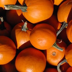 Pumpkins