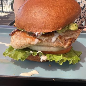 Park Burger - Chicken Bacon Guac - Burgers Near Me - Denver, Colorado Park Burger - Chicken Bacon Guac - Burgers Near Me - Denver, Colorado