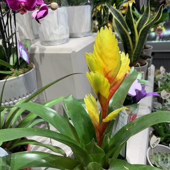 Metro - And always a great flower department. - Bakeries Near Me - Kanata, Ontario