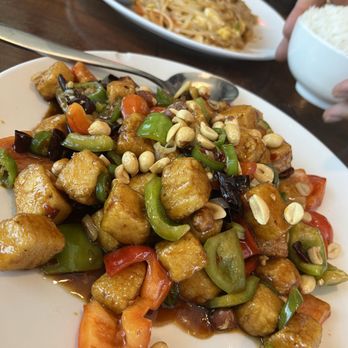 Szechuan Spice - 105. Kungbao Tofu vegan - Szechuan Near Me - Pearland, Texas Szechuan Spice - 105. Kungbao Tofu vegan - Szechuan Near Me - Pearland, Texas