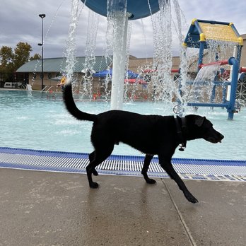 Pannell Meadowview Pool - Active Life Near Me - Sacramento, California Pannell Meadowview Pool - Active Life Near Me - Sacramento, California