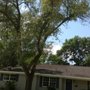 Photo of Jones Road Tree Service
