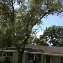 Jones Road Tree Service - Helping our clients preserve and maintain their Trees