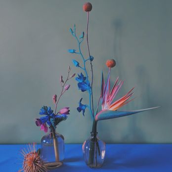 Naptown Floral - Floral Designers Near Me - Indianapolis, Indiana Naptown Floral - Floral Designers Near Me - Indianapolis, Indiana