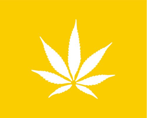 Coastal Dispensary Santa Barbara by null