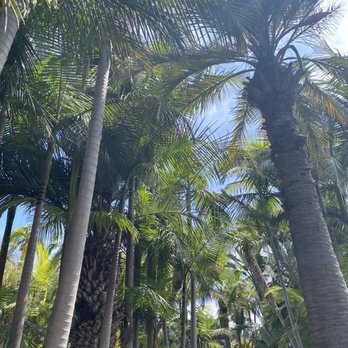 Bahia Resort Hotel - San Diego, CA
