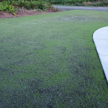 Northwest Bulldozing & Hydroseeding - Landscaping Near Me - Silverdale, Washington Northwest Bulldozing & Hydroseeding - Landscaping Near Me - Silverdale, Washington