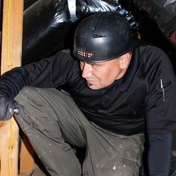 Str8Up Pest Solutions - Inspecting the attic for rodents - Pest Control Near Me Str8Up Pest Solutions - Inspecting the attic for rodents - Pest Control Near Me