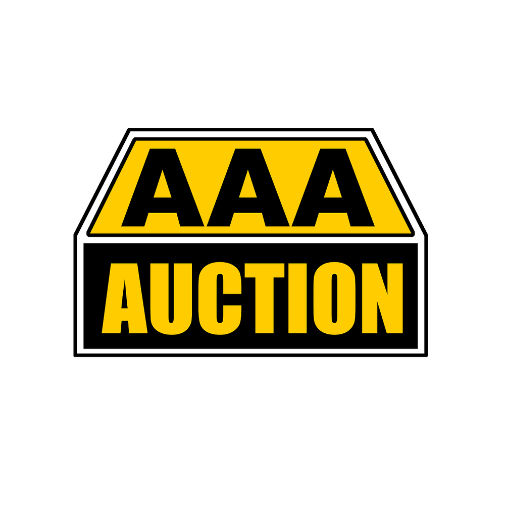 AAA AUCTION SERVICE INC