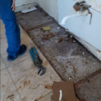 PMO Realty - had to gut the kitchen counter top and cabinets because of water damage from a leaking fixture that pmo management never knew was leaking - Property Management Near Me - Mount Dora, Florida