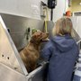 Photo of Pet Station - Reno