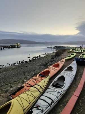 Blue Waters Kayaking by null