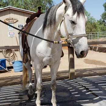 Green Acres Ranch - This is the handsome, Leo. - Horseback Riding Near Me - Temecula, California