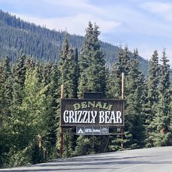 Grizzly Bear Resort