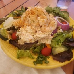 Garden Salad