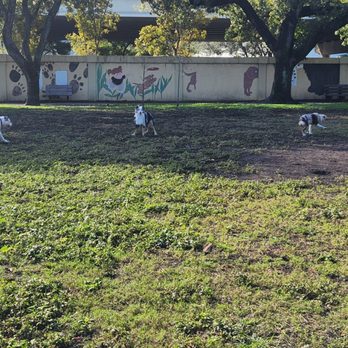 Snyder Park - Parks Near Me - Fort Lauderdale, Florida Snyder Park - Parks Near Me - Fort Lauderdale, Florida
