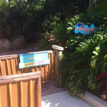 Aquatica Orlando - Water Parks Near Me - Orlando, Florida
