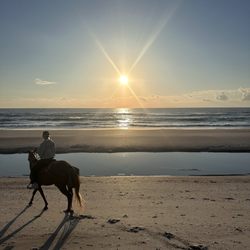 Amelia Island Horseback Riding