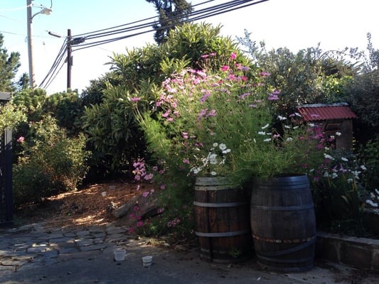 Sonoma Wine Shop / La Bodega Kitchen by null