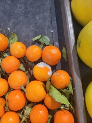 FRED MEYER - Updated January 2025 - 26 Photos & 82 Reviews - 12906