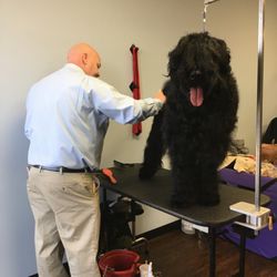 Tri State K9 Service