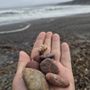 Agate Beach