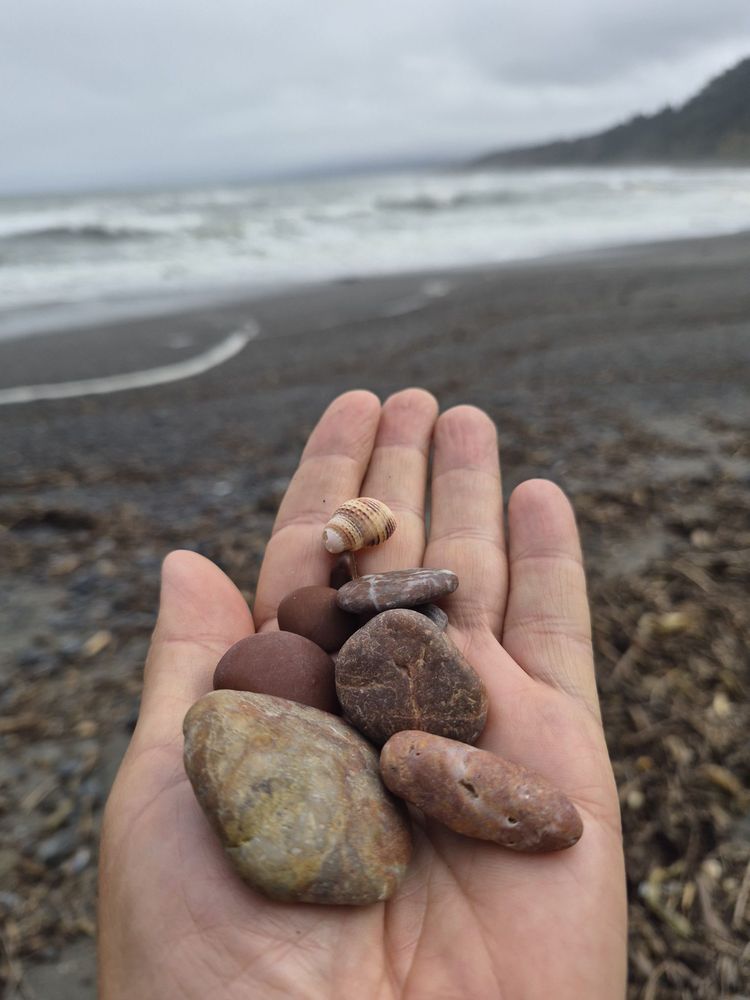 Agate Beach Logo