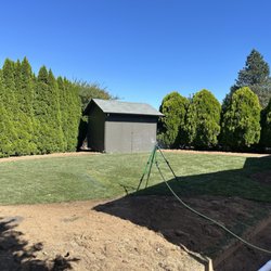 Luong's Landscaping - Our fresh yard AFTER Luong's Landscaping laid sod