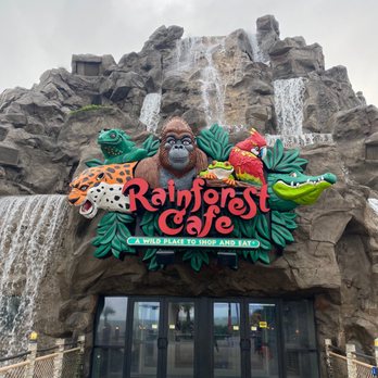 Rainforest Cafe - The entrance of the restaurant. - American Near Me - Galveston, Texas Rainforest Cafe - The entrance of the restaurant. - American Near Me - Galveston, Texas