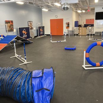 Zoom Room Dog Training - Littleton - Agility Fundamentals - Pet Training Near Me - Littleton, Colorado Zoom Room Dog Training - Littleton - Agility Fundamentals - Pet Training Near Me - Littleton, Colorado