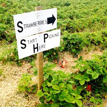East Yonderton Farm - Do-It-Yourself Food Near Me - Paisley, RFW