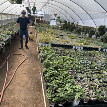 Freedom Nursery - Nurseries & Gardening Near Me - Watsonville, California
