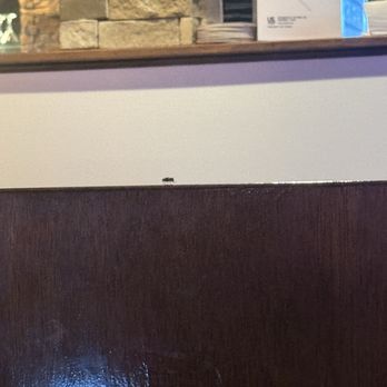 Mac’s On Main - Flies were all over during our meal - American Near Me - Belleville, Illinois Mac’s On Main - Flies were all over during our meal - American Near Me - Belleville, Illinois