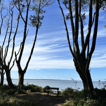 Bay Center / Willapa Bay KOA - Campgrounds Near Me - South Bend, Washington