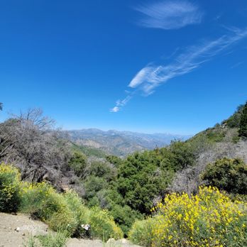 Angeles National Forest - Parks Near Me - Arcadia, California Angeles National Forest - Parks Near Me - Arcadia, California