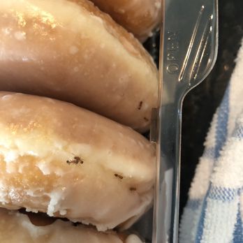 Sand 'N Sea Properties - Ants in our food. - Property Management Near Me - Galveston, Texas