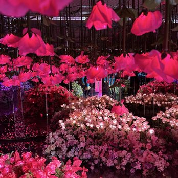 Imaginarium 360 - Festivals Near Me - Milpitas, California Imaginarium 360 - Festivals Near Me - Milpitas, California