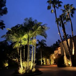 Lighting Distinctions