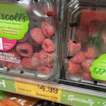 Grocery Outlet - Rotten berries - Grocery Near Me - Mountlake Terrace, Washington Grocery Outlet - Rotten berries - Grocery Near Me - Mountlake Terrace, Washington