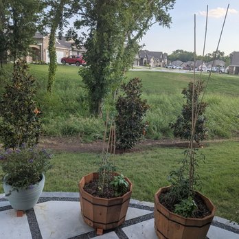 Viking Landscape - Tree line and new patio - Landscaping Near Me - Tulsa, Oklahoma Viking Landscape - Tree line and new patio - Landscaping Near Me - Tulsa, Oklahoma