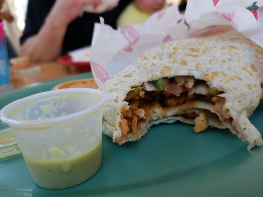 Poblano Pepper by null