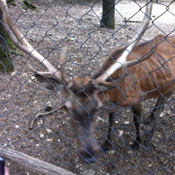 Centro Visita del Lupi