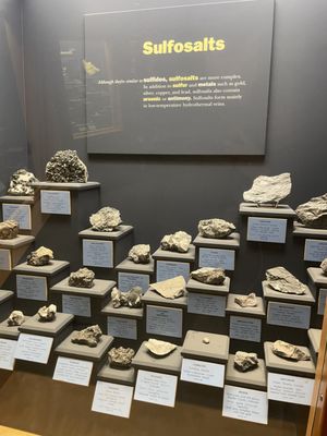 Denver Museum of Nature & Science by null