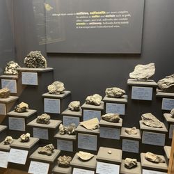Denver Museum of Nature and Science - Sulfosalts