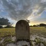 Photo of Willow Lawn Cemetery