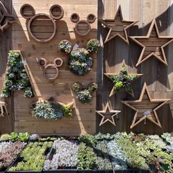 Los Altos Arts & Wine Festival - Custom woodwork that you can make a unique succulent wall art