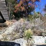 Photo of Green Earth Gardening and Landscape