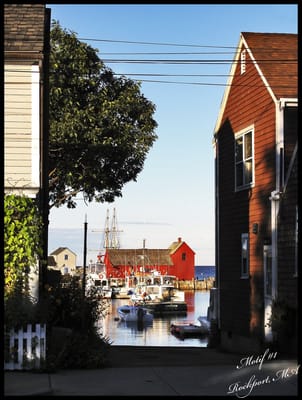 Motif #1 by null